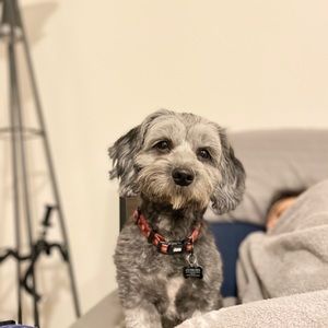 Meet your Posher, Kim